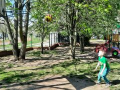 większy obrazek nr 38