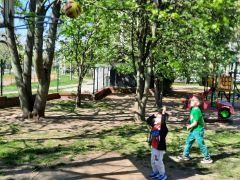 większy obrazek nr 39