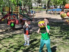 większy obrazek nr 42