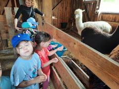 ilustracja do wpisu 
,,Malowane wrota"