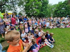 większy obrazek nr 11