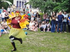 większy obrazek nr 17