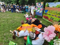 większy obrazek nr 39