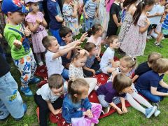 większy obrazek nr 53