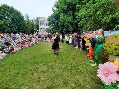 większy obrazek nr 58