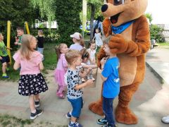 większy obrazek nr 97