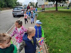 większy obrazek nr 22
