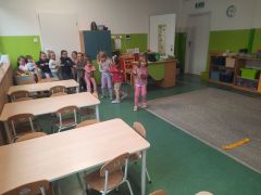 większy obrazek nr 66