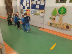 większy obrazek nr 68