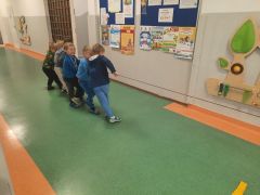 większy obrazek nr 71