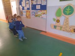 większy obrazek nr 72