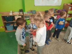 większy obrazek nr 88