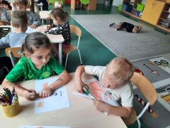 większy obrazek nr 5