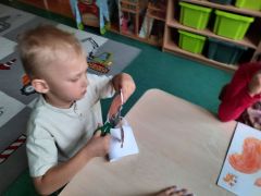 większy obrazek nr 8