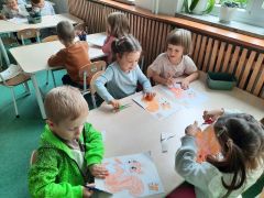 większy obrazek nr 11