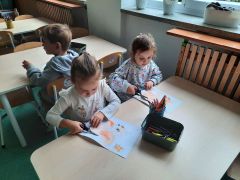 większy obrazek nr 13