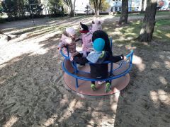 większy obrazek nr 1