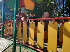 większy obrazek nr 4