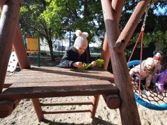 większy obrazek nr 5