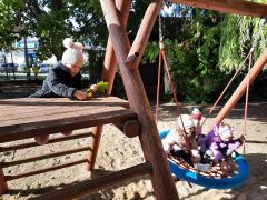 większy obrazek nr 6