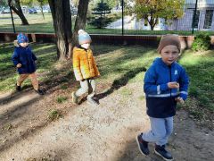 większy obrazek nr 12