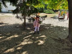 większy obrazek nr 24