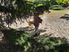 większy obrazek nr 26