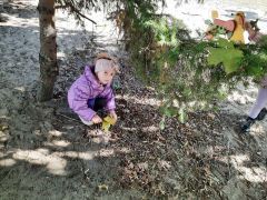 większy obrazek nr 28