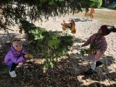 większy obrazek nr 29