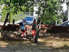 większy obrazek nr 31