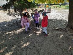 większy obrazek nr 40