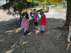 większy obrazek nr 41