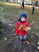 większy obrazek nr 46