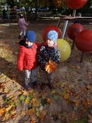 ilustracja do wpisu 
Słoneczna jesień