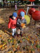 większy obrazek nr 49