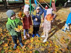 większy obrazek nr 51