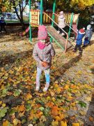 większy obrazek nr 52