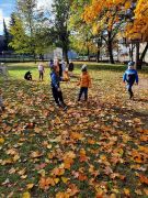 większy obrazek nr 53