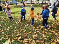 większy obrazek nr 54