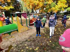 większy obrazek nr 55