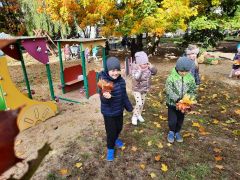 większy obrazek nr 56