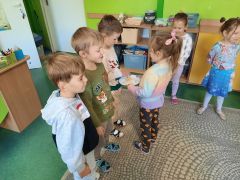 większy obrazek nr 15