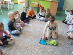 większy obrazek nr 22