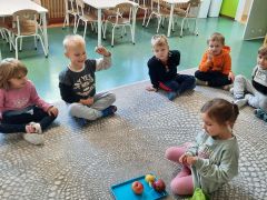 większy obrazek nr 25