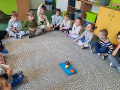 większy obrazek nr 27