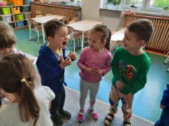 większy obrazek nr 47