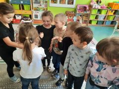 większy obrazek nr 51