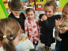 większy obrazek nr 53