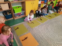 większy obrazek nr 2