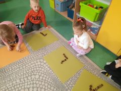 większy obrazek nr 6